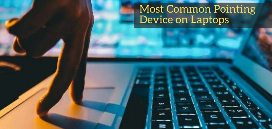 What Is the Most Common Pointing Device on Laptops